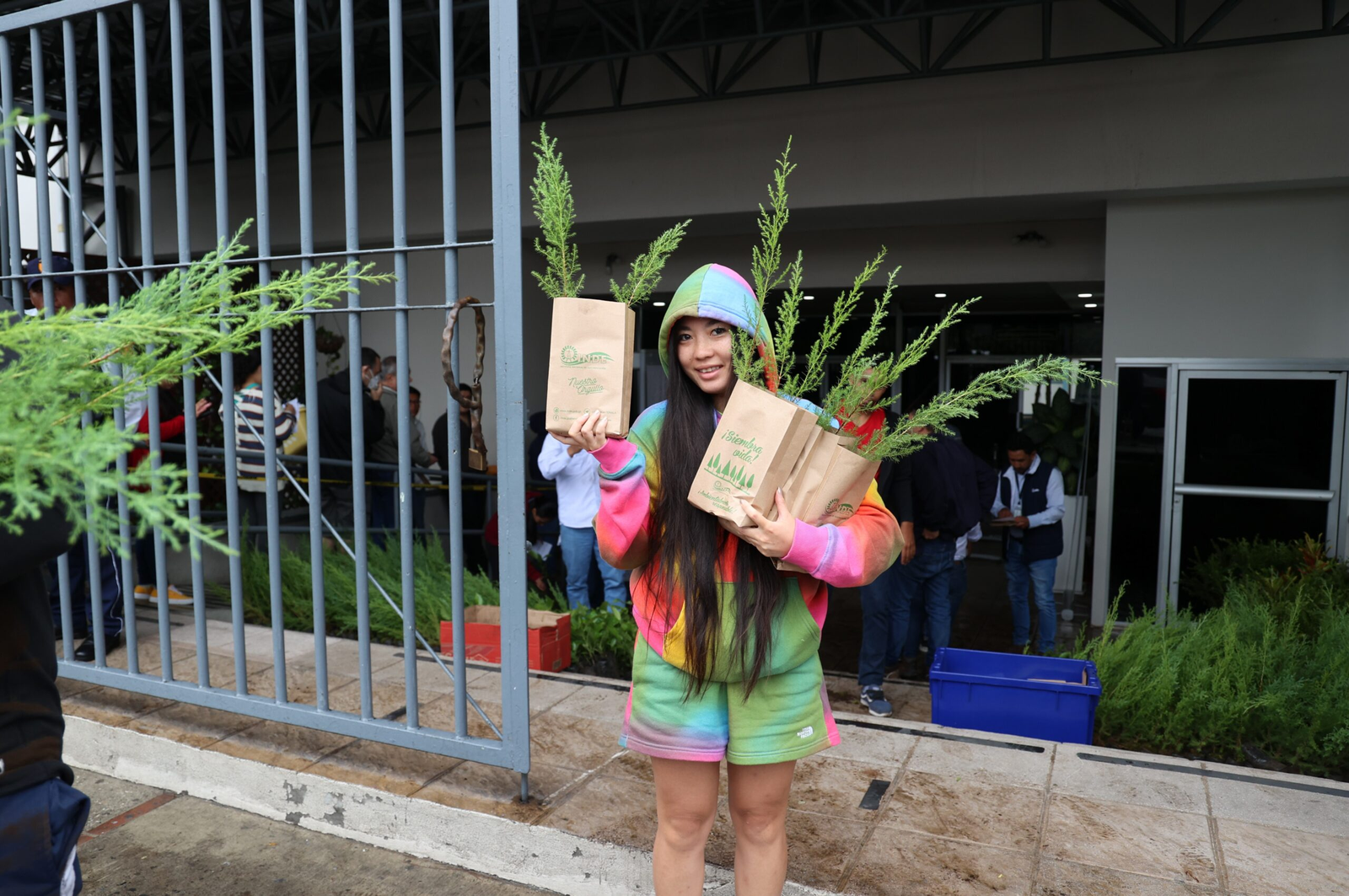 Regalaremos ocho mil árboles